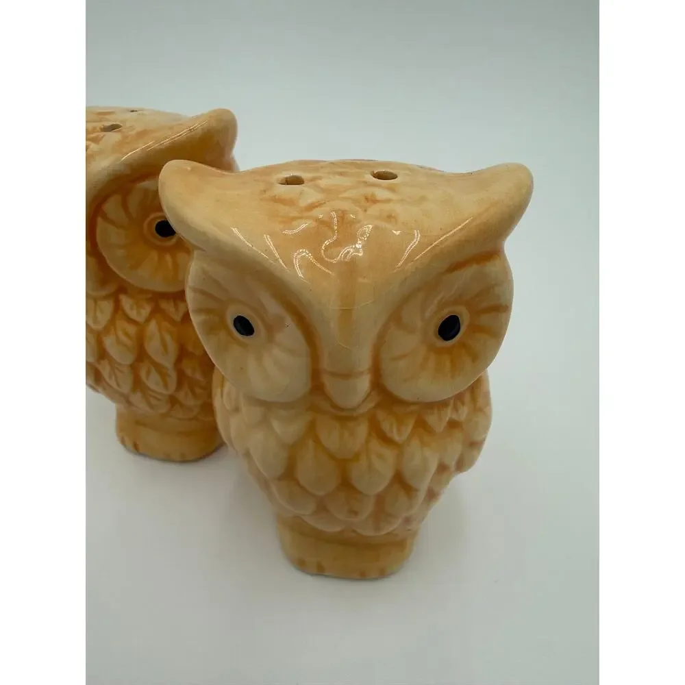 1970's Ceramic Owl Salt & Pepper Shakers Set